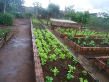 Escola Moacir Caramelo desenvolve projeto Hortifruti Pedagógico no Ensino Médio com Mediação Tecnológica