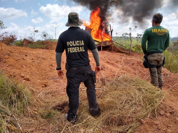 Ministério do Meio Ambiente exonera superintendente do Ibama no PA