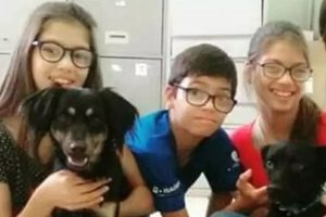 Trigêmeos se afogam em rio e amigo da família tenta ajudar e todos acabam morrendo Trigêmeos se afogam em rio e amigo da família tenta ajudar e todos acabam morrendo