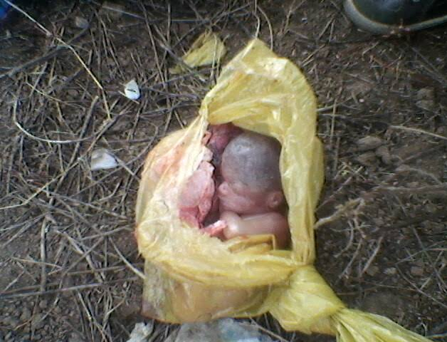 Feto é encontrado por cachorro em lixo de loteamento na capital Feto é encontrado por cachorro em lixo de loteamento na capital