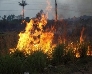 Portaria suspende por 30 dias uso do fogo controlado para limpeza de áreas em RO Portaria suspende por 30 dias uso do fogo controlado para limpeza de áreas em RO
