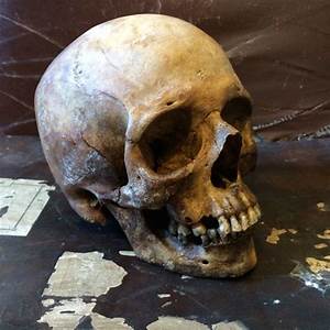 Crânio humano é retirado de cova e usado em ritual de magia negra Crânio humano é retirado de cova e usado em ritual de magia negra