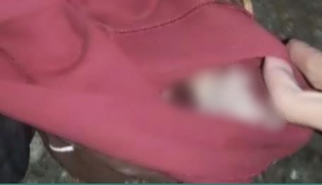 Recém-nascido jogado em matagal dentro de mochila é resgatado; VEJA Recém-nascido jogado em matagal dentro de mochila é resgatado; VEJA