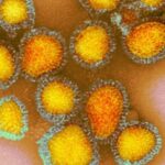 Em três dias, Rondônia registra mais de 300 casos de influenza, diz secretário de Saúde
