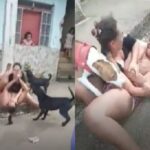 Vídeo de briga entre vizinhas viraliza nas redes sociais, teve até cachorros e peitos; veja imagens